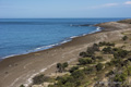 Valdes Peninsula, Argentina