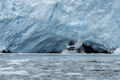 Videla Glacier, Seno Hyatt, Tierra del Fuego