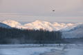 Chilkat River, Alaska