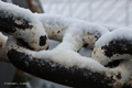 Anchor Chain with Snow