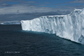 Iceberg in Antarctic Sound