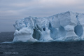 Iceberg in Antarctic Sound