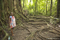 Rosie in the Daintree Rainforest, Australia