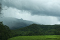 Stormy Sky, (Daintree Rainforest, Australia)