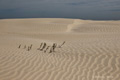 Sand Waves on Isla Magdalena