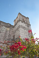 Church Bell Tower in San Ignacio