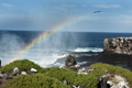 Blowhole Rainbow (Punta Suarez, Isla Española)