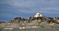 Polar Bear (Storøya Island)