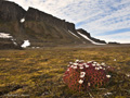 Kapp Freeden (Eastern Spitsbergen)