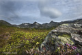 Kvaløya (Whale Island), Norway