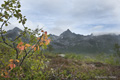 Kvaløya (Whale Island), Norway