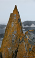 Lichen-Covered Rocks on Torgersen Island