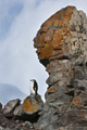 Chinstrap Penguin on Rock Pilar