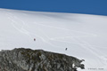 Snowboarding on Cuverville Island