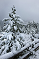 Snowy Grand Teton National Park