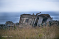 Abandoned House on Værøy