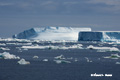 Icebergs in Weddell Sea