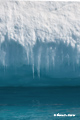 Antarctic Icicles