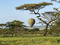 Baloon Over Serengeti