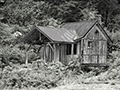 Inside Passage Cabin