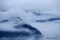 Morning Fog, Hornsund Fjord, Spitsbergen