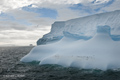 Iceberg near South Shetland Islands