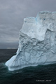 Iceberg near South Shetland Islands