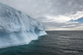 Iceberg near South Shetland Islands