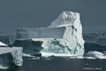 Iceberg in Marguerite Bay