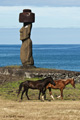 Moai at Ahu Tahai (Easter Island)