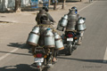 Milkmen on the Way to Market, Agra, India