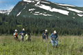 Tramping Through Lake Clark National Park