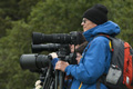 Photographing Brown Bears