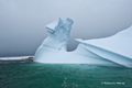 Iceberg near Booth Island