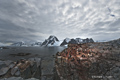 Adelie Penguins on Petermann Island