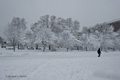 Washington, DC During the Blizzard of 2010