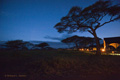 Early Morning in the Tent Camp, Serengeti, Tanzania