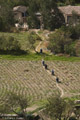 Archeolgical Workers at Ollantaytambo, Peru