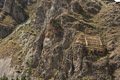 Incan Storage Structures, Ollantaytambo, Peru