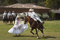 Peruvian Paso Horse Demonstration, Urubamba, Peru