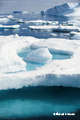 Ice in the Weddell Sea