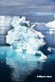 Icebergs in Weddell Sea