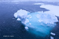 Antarctic Ice