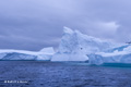 Iceberg Alley, Antarctica