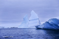 Iceberg Alley, Antarctica