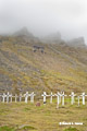 Longyearbyen Graveyard from 1918 Flu Pandemic