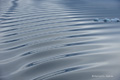 Bow Ripples