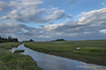 Silver Salmon Creek Landscape