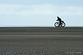 Ranger on the Beach