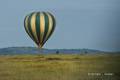 Balloon Over the Serengeti